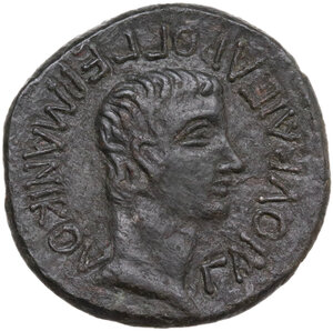 obverse: Kings of Bosporos.  Aspurgus, as king with Caligula (AD 14/5-37/8). . AE 12 units, Bosporus