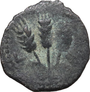 obverse: Judaea.  Agrippa I (37-44).. AE Prutah, year 6 (41/42). Jerusalem mint