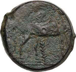 reverse: Zeugitania, Carthage. AE Reduced 2 Shekel, 264-231 BC