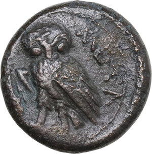 reverse: Southern Lucania, Metapontum. AE 14 mm, 250-207 BC
