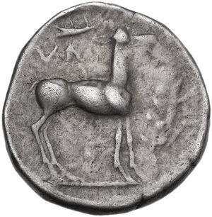 reverse: Bruttium, Kaulonia. AR Stater,  circa 475-425 BC