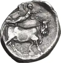 Reverse image