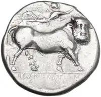 Reverse image