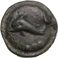Reverse image