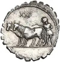 Reverse image