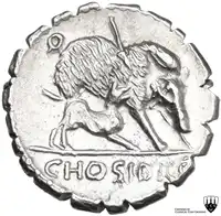 Reverse image