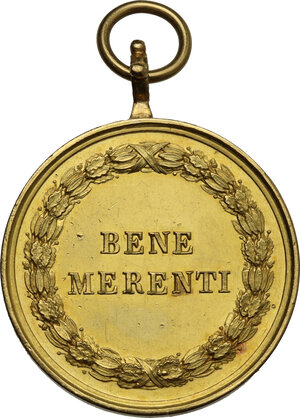 reverse: Pio IX  (1846-1878), Giovanni Mastai Ferretti. Medaglia ufficiale per benemerenze civili e militari