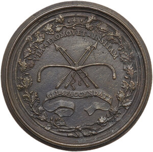 reverse: Accademia degli Sfaccendati di Ariccia. Medaglia 1672, con bordo modanato