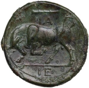 reverse: Syracuse.  Hieron II (275-215 BC).. AE 21 mm, c. 275-269/265 BC