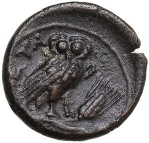 reverse: Southern Lucania, Metapontum. AE 15.5 mm, c. 300-250 BC