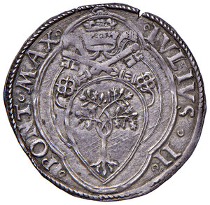 obverse: Roma. Giulio II (1503-1513). Giulio AG gr. 3,79. Muntoni 34. Berman 576. MIR 562/3. q.SPL 