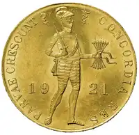 Reverse image