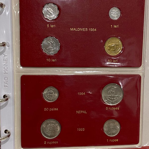 Immagine aggiuntiva 4