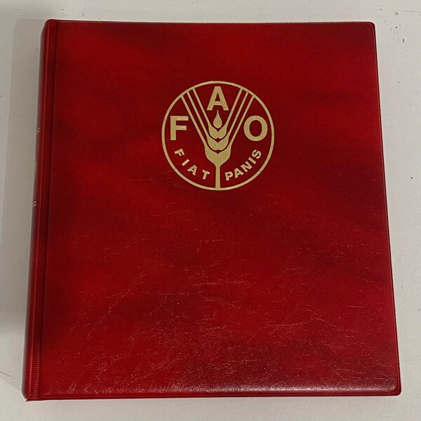 Immagine aggiuntiva 5