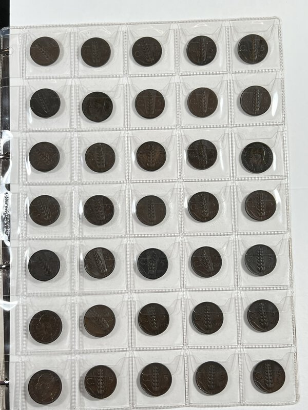 Immagine aggiuntiva 6