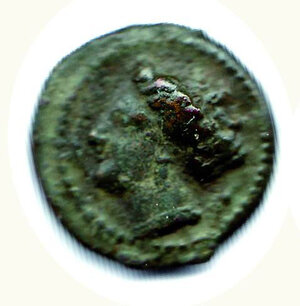 obverse: SIRACUSA - Agatocle  (317-289) - Litra