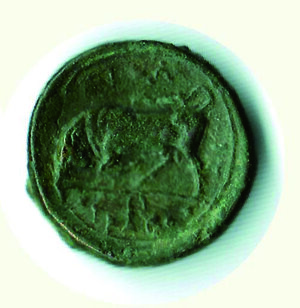 reverse: SIRACUSA - Agatocle  (317-289) - Litra
