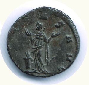 reverse: GALLIENO (253-268) - Antoniniano; R/ Salus Aug.