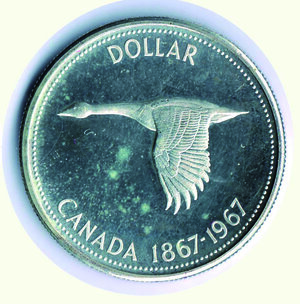reverse: CANADA -  Dollaro 1967.