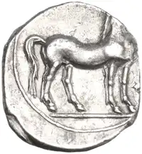 lot 101