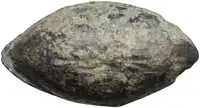 lot 1089