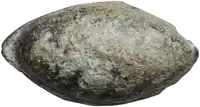 lot 1089