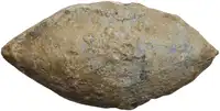 lot 1093