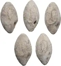 lot 1095