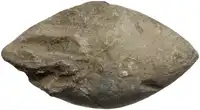 lot 1096