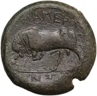 lot 155