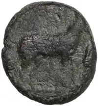 lot 158