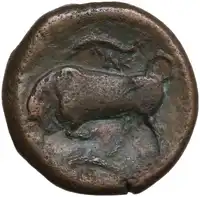 lot 191