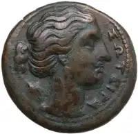 lot 195