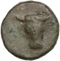 lot 256