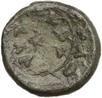 lot 256