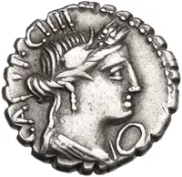 lot 501