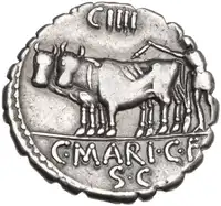 lot 501