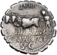 lot 502