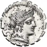 lot 505