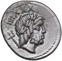 lot 510