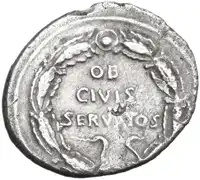 lot 584