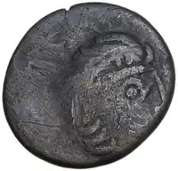 lot 6