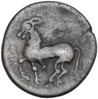 lot 6