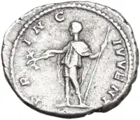lot 781