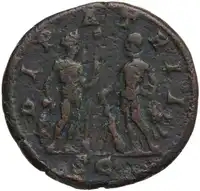 lot 785