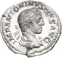 lot 795