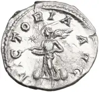 lot 795