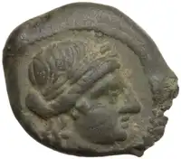 lot 7