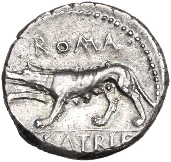 Die Römische Republik