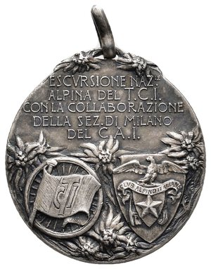 reverse: MEDAGLIA 1913, Escursione nazionale Alpina , diam.29 mm 